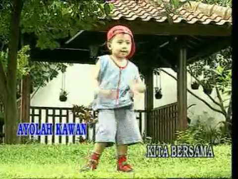 cJoshua cit cit cuit