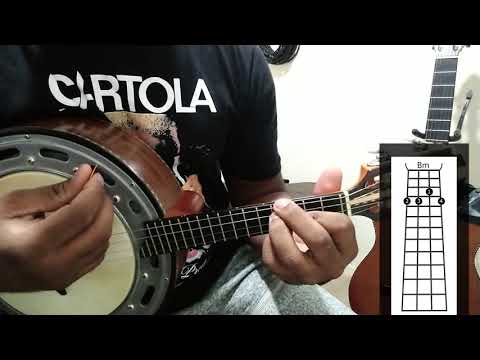TESTAMENTO DE PARTIDEIRO - ARLINDO CRUZ/SOMBRINHA/LECI BRANDÃO ( AULA DE BANJO )