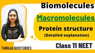 Biomolecules | Macromolecules - Proteins | α-helix | β-pleated sheet | Class 11 Biology/NEET