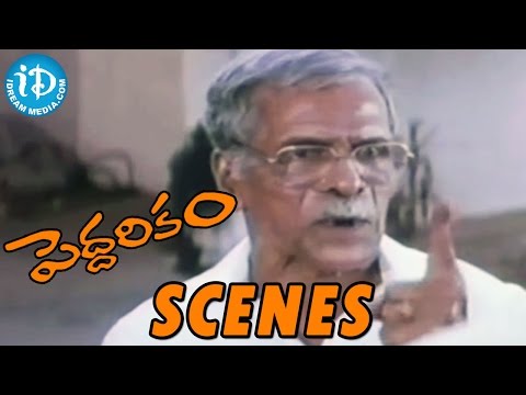 Peddarikam Movie - NN Pillai And Vijayakumar Emotional Scene || Jagapathi Babu || Sukanya