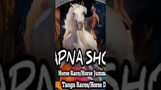 Download lagu new chanel subscribe #horseriding #horse mp3