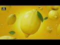 Clip 1