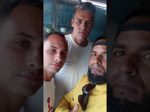 Marti-Matanzas en casa de un grande de este Hobby,Guanabacoa en la casa a palomear se ha dicho 🙏