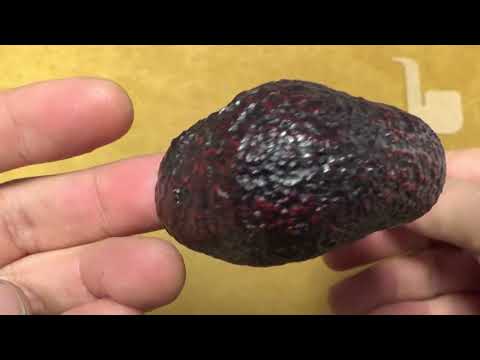 Pipa Peterson Standard System Large Sabbiata 312S