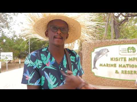 Bountiful Safaris Experience at Diani
