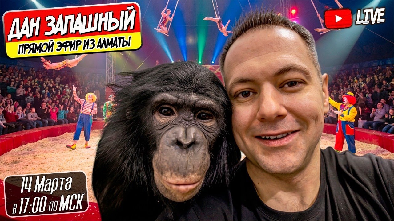 🔴 Перед Упаковкой в Душанбе с Даном Запашным и Шимпанзе Боней