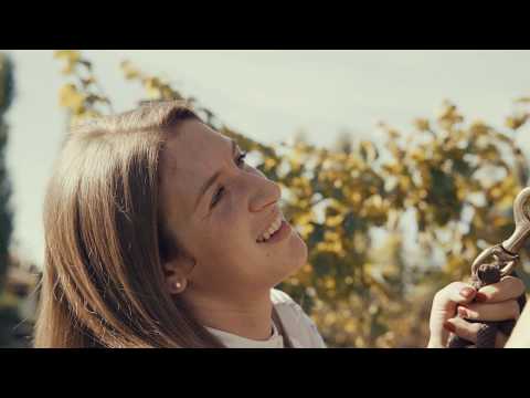 CANTINA PIZZOLATO | VINHOS ORGÂNICOS DESDE 1991 - A HISTÓRIA CONTINUA.