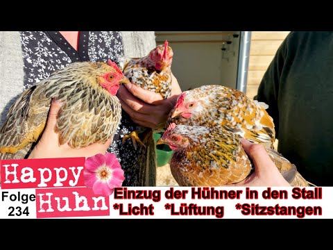 , title : 'Die Hühner ziehen in den neuen Stall ein + Lüftung, Licht und Sitzstangen erklärt - HAPPY HUHN E334'