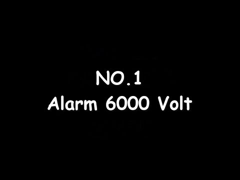  Download  Suara  Alarm Paling Berisik Mp3  Mp4 320kbps 