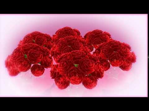 How to Create a Stunning Flower Arrangement