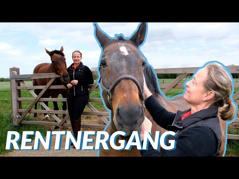 Isabell Werth and her pensioner gang 🤩 | Satchmo, Don Johnson and Co. enjoy their life on the meadow
