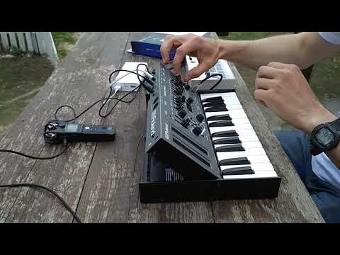 Roland SH-01A, Korg Volca Sample - Vacation Trance