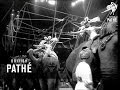 Circus Comes To New York 1966