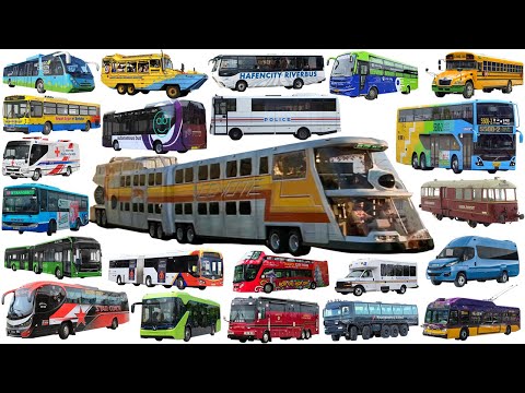 The Big Bus, School bus, Police bus, City Bus | Bus name collection - Learning Vehicle Types of Bus