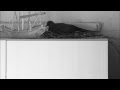 Robin Guthrie - Turn Together, Burn Together