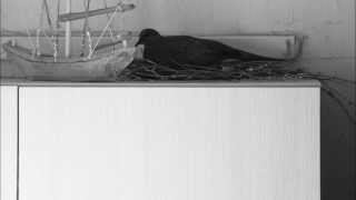 Robin Guthrie - Turn Together, Burn Together