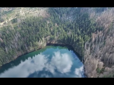 Průvodce Šumava, Bavorský les, Mühlviertel