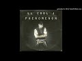 LL Cool J - Phenomenon