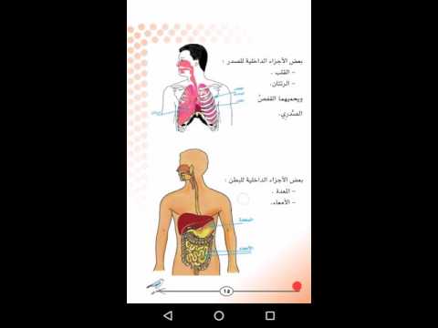 YCurriculum Ebooks Video