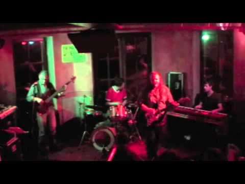 TheElectricLadies - Moon Mood