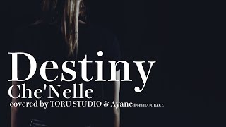 Destiny / Che&#39;Nelle (シェネル) cover ドラマ『リバース』主題歌