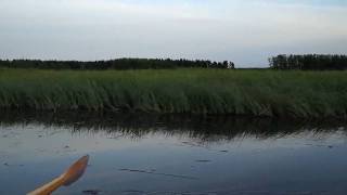 preview picture of video 'Delta of river Kokemäenjoki - 7/6/2010 - Kokemäenjoen suistossa'