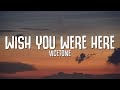 Vicetone Willim Wish You Were Here Lyrics Ft Wink XY