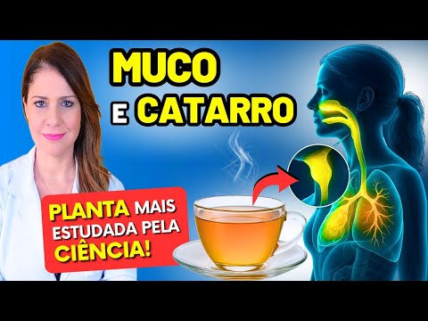 Planta Nº1 para MUCO e CATARRO da GARGANTA — Saiba Como Pode Ajudar Segundo a CIÊNCIA