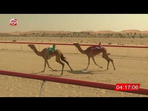 ش 5 (امبشره) لـ سعيد مبارك بن سبت الخييلي 8:04 , شارة الديوان 2026/3/03 ايذاع الخزنة