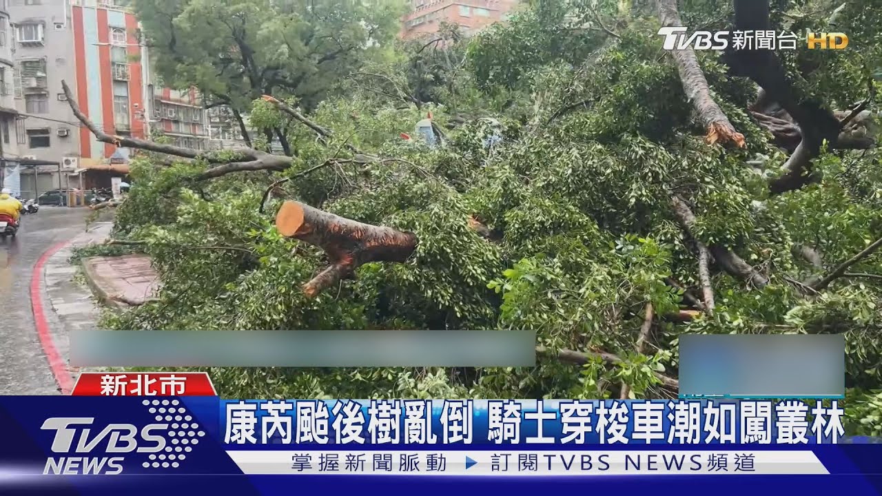 康芮颱後樹亂倒 騎士穿梭車潮如闖叢林