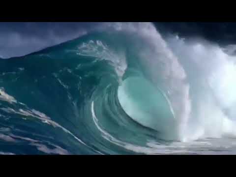 Witness21 Editor  2024 07 08