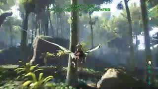 ARK