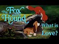 The Fox And The Hound What Is Love
