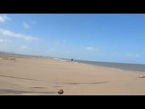 Bocas de ceniza, Puerto mocho, Ciénaga Mallorquín, Barranquilla, Atlántico