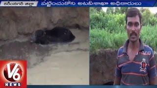 Wild Bear Spotted in Water Well at Ullampally Village | Forest Department| Karimnagar | V6News