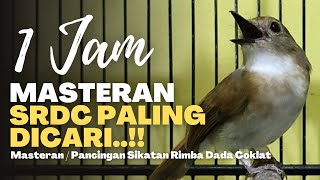 Download lagu MASTERAN SRDC PALING DICARI || SPEED RAPAT ROLL TEMBAK mp3
