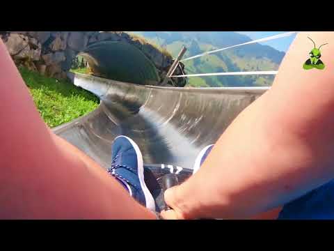 [Onride] Wirzweli Sommerrodelbahn | Schweiz