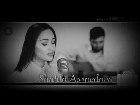Shahlo Axmedova - Birtanesisin ( Cover ) InstaLife