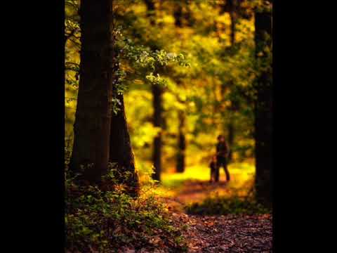 parik nazarian -- kakav trav-gakav terav