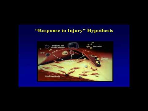 Introduction to Biology and Treatments – Atherosclerosis