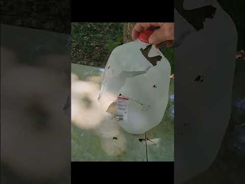 Are They Any Good? Fiocchi Field Dynamics .22LR 38gr CPHP. Complete Testing \u0026 Review. 