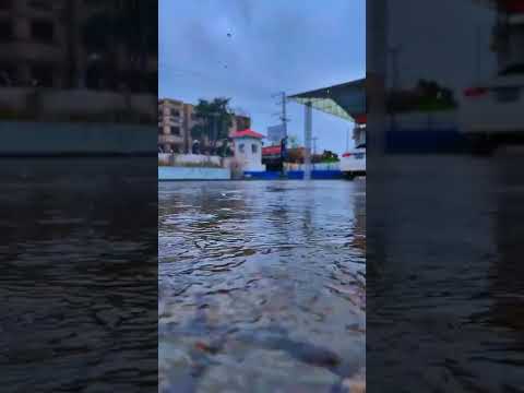 NATURE || RAIN || BEAUTY