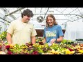 SAU Agriculture Commercial 2025