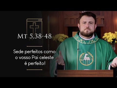 Daily Homily | 7th Sunday in Ordinary Time (Mt 5:38-48)