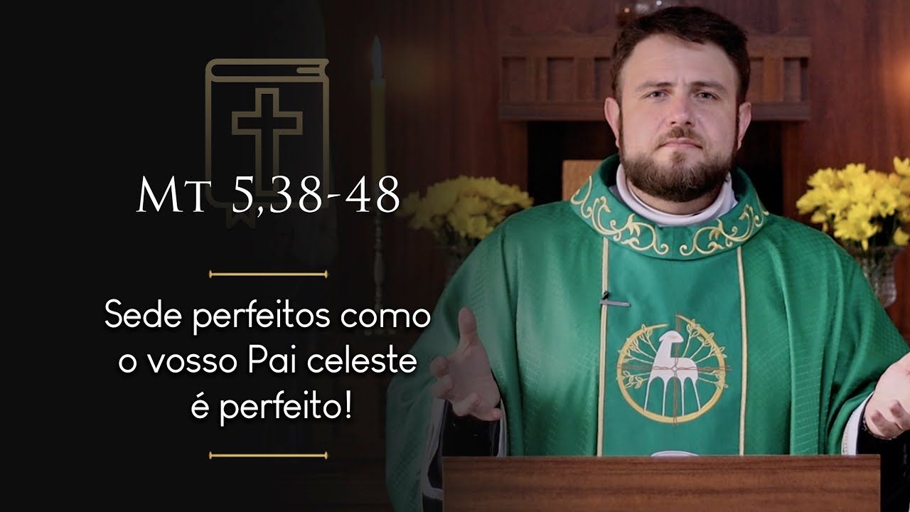 Homilia Diária | 7º Domingo do Tempo Comum (Mt 5,38-48)