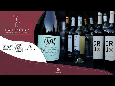 ITALIÆNOTICA | Masi Tupungato; Vinos de Potrero &  Alfa Cruz, Agostino Wines