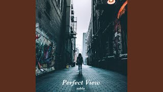 Perfect View Music Video
