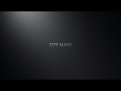 Picco el perro (proyecto de español)