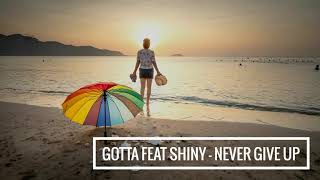 Gotta feat Shiny - Never give up