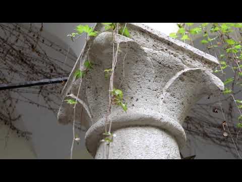 Terni tra '400 e '700 - Palazzo Alberici